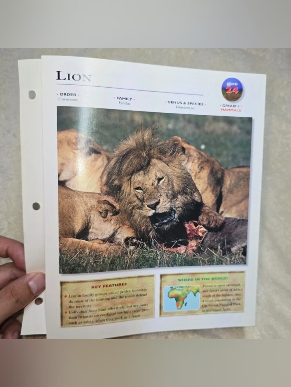 Wildlife Explorer Binder 11 Loose Pages/Cards Animals Homeschool Resource